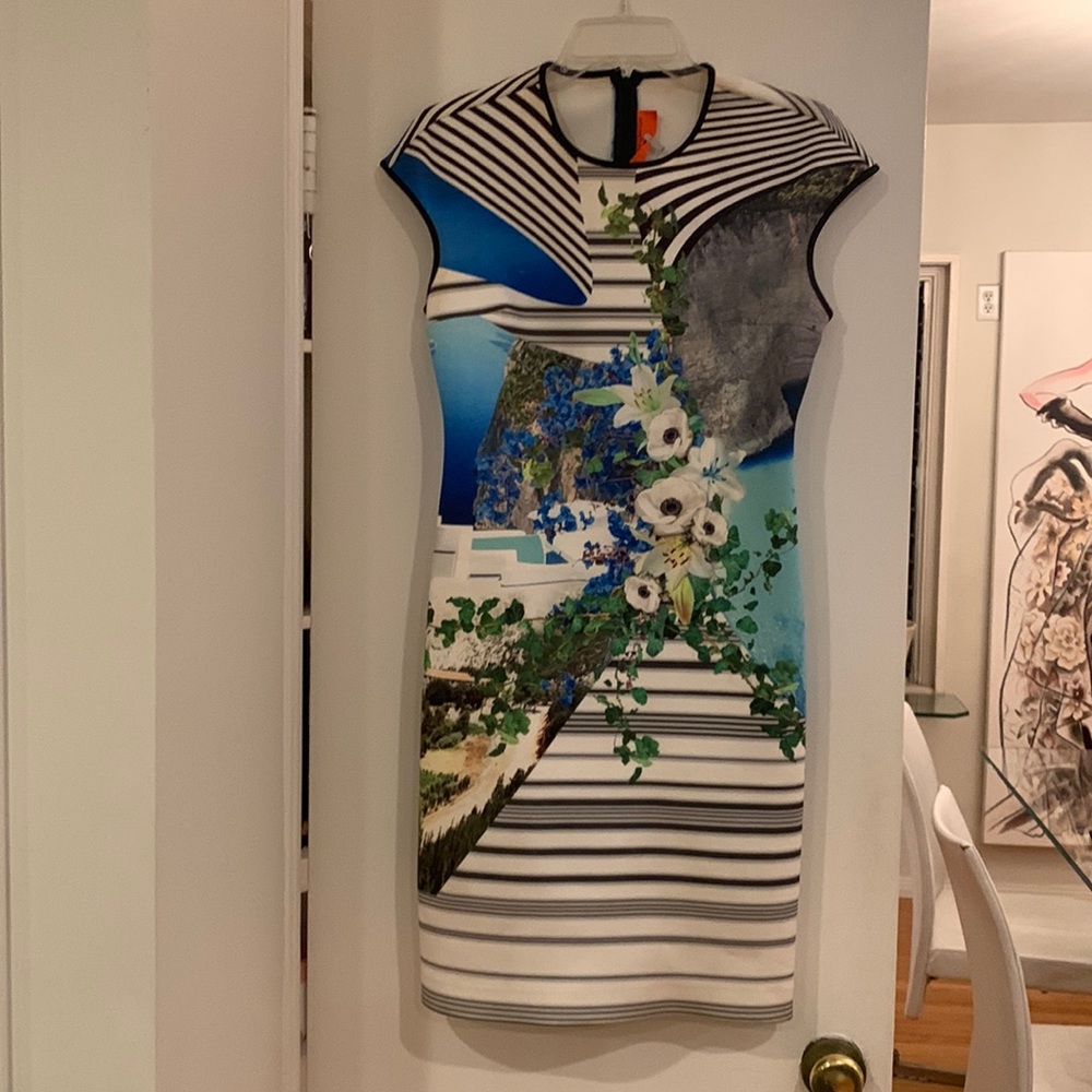Bodycon Clover Canyon Dress